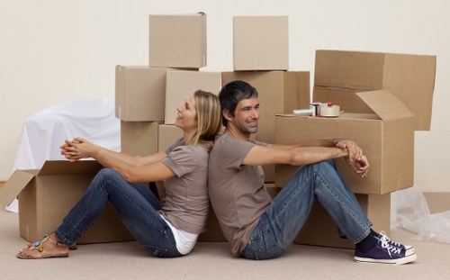 Crooklog apartment moving checklist and boxes